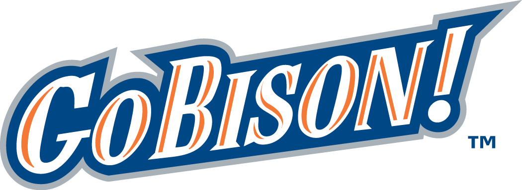 Bucknell Bison 2002-Pres Wordmark Logo v3 diy iron on heat transfer